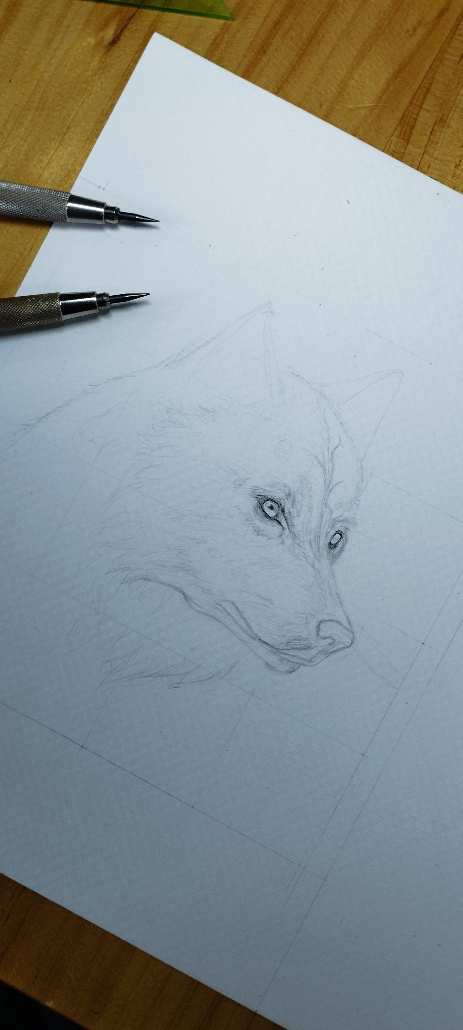 Hyperrealistic concept-art by MAURYARTE — Hyperrealistic concept-art by MAURYARTE — graphite line exploration for lobo-acuarela